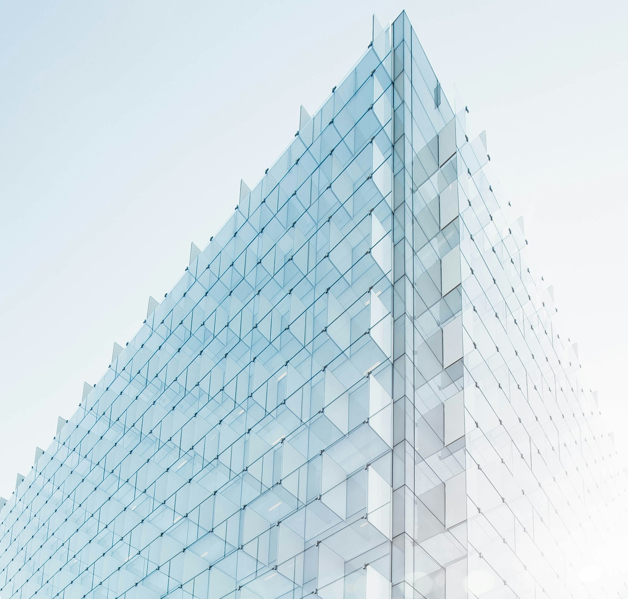 Brutalist Bold